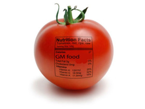 gmo-food1