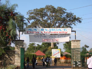 Dilla University 